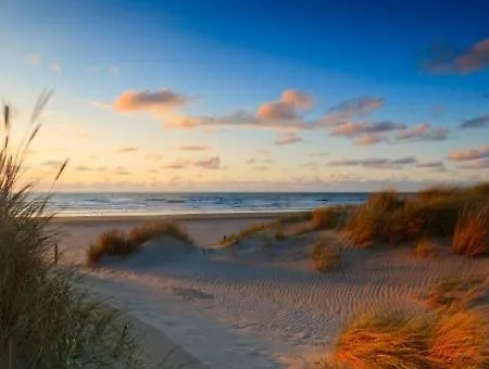 Fruit Of The - R.q.c. Apartamento *