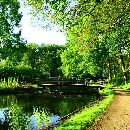 Apartamento Fruit Of The - R.q.c.