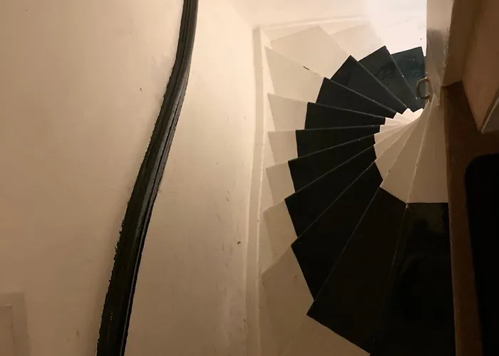 Fruit Of The - R.q.c. * La Haya