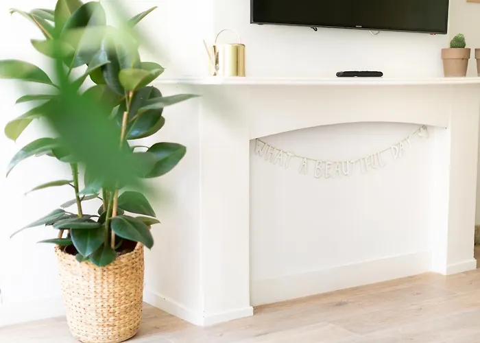 Apartamento Fruit Of The - R.q.c.