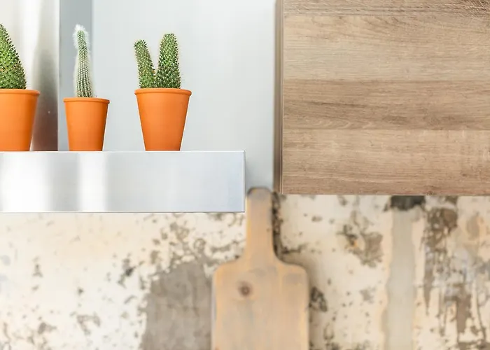 Fruit Of The - R.q.c. * La Haya