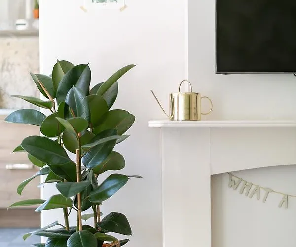 Fruit Of The - R.q.c. Apartamento La Haya