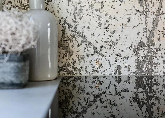 Fruit Of The - R.q.c. * La Haya