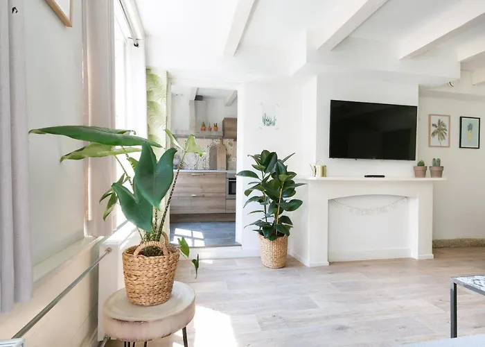 Apartamento Fruit Of The - R.q.c. *