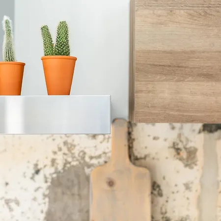 Fruit Of The - R.q.c. * Гаага