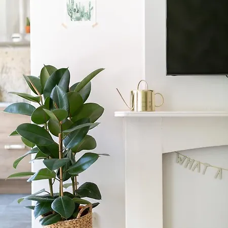 Fruit Of The - R.q.c. Apartment The Hague
