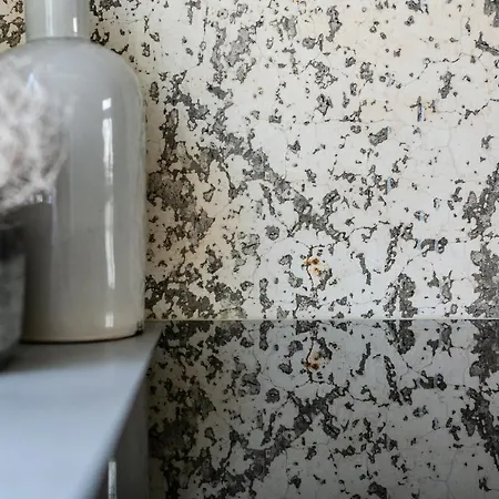 Fruit Of The - R.q.c. * لاهاي