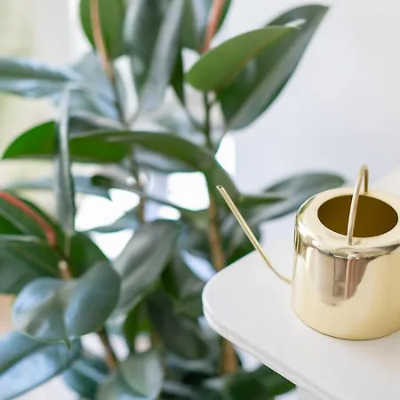 Апартаменты Fruit Of The - R.q.c.