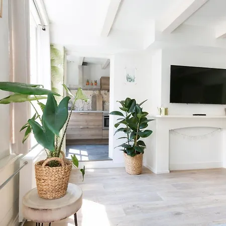 Appartement Fruit Of The - R.q.c. *