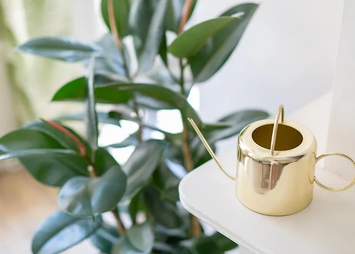 Apartament Fruit Of The - R.q.c.